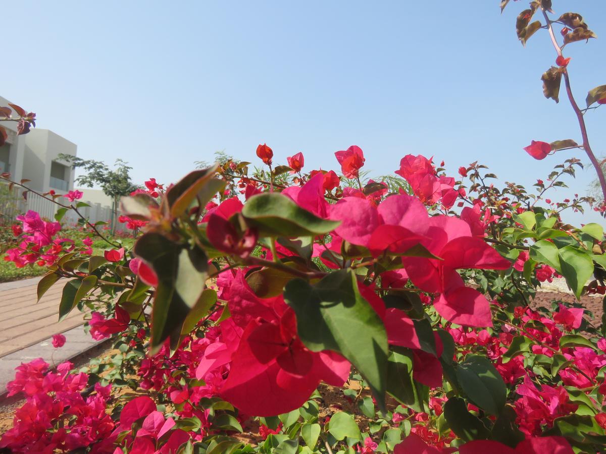 ראס אל חאימה Bermuda Villas Holiday Home חדר תמונה